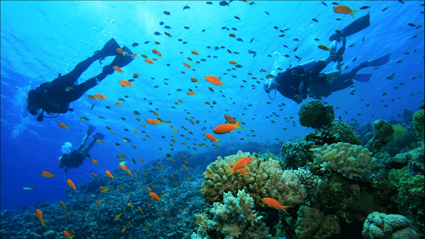 Coral reefs are all around Gili